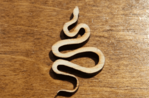 Laser-cut snake wood cutout ornament on wood background, unfinished plywood decor for crafts and gifts