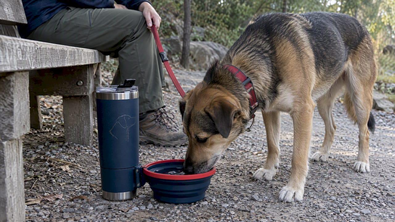 Hydro Hound Tumbler beside drinking dog