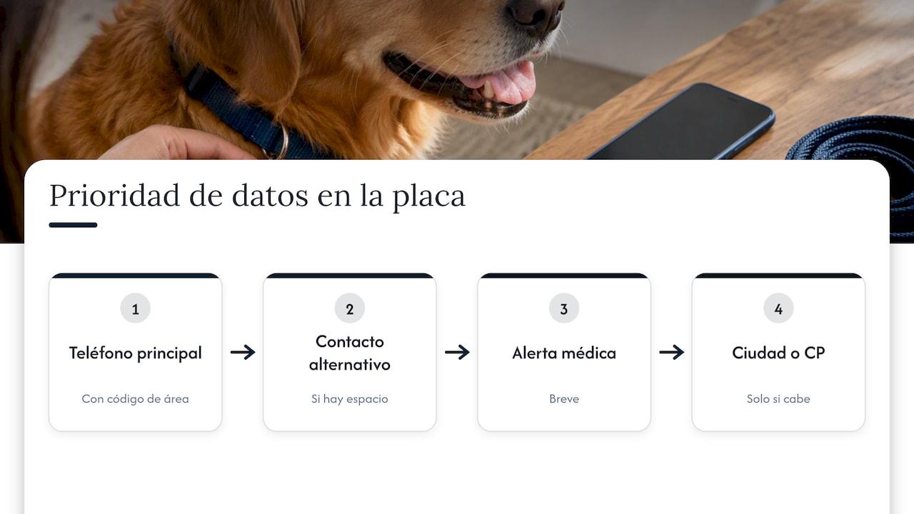 Jerarquía de información para la placa de un perro