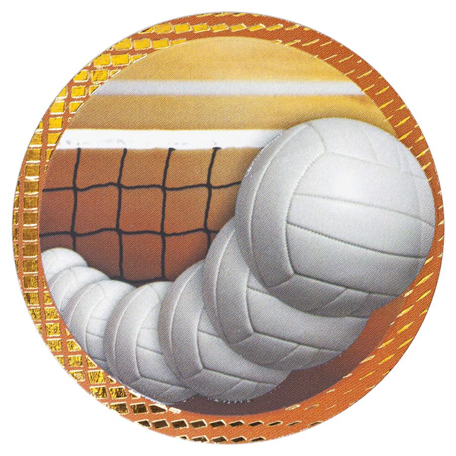 2" Dazzle Trophy Inserts, Sport and Activity (Packs) - 2" Volleyball Dazzle Insert