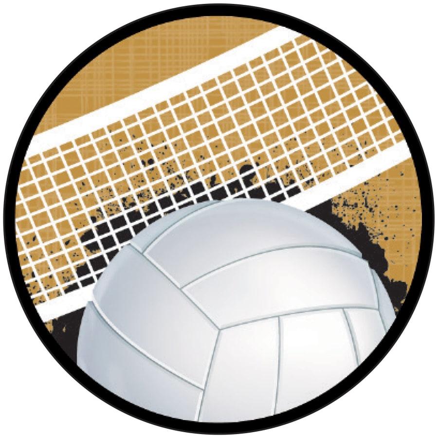2" Mylar, Epoxy Dome and Activity Trophy Inserts, Coins and Insert Medals (Packs) - 2" Volleyball Sport Activity Insert