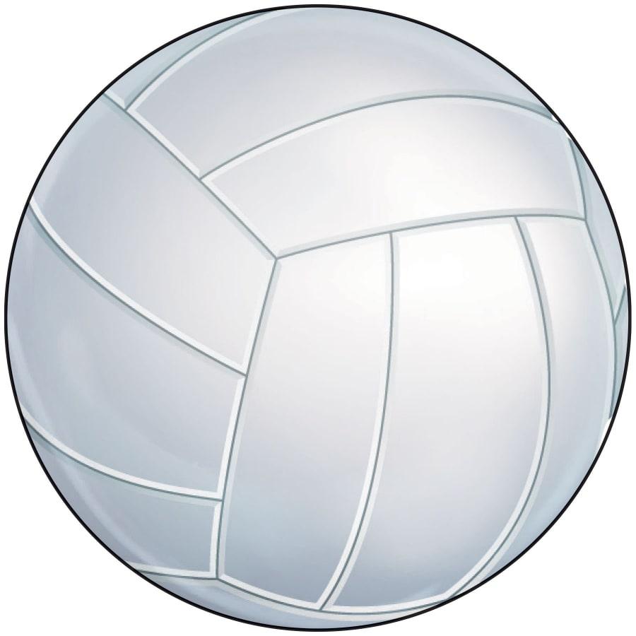 2" Mylar, Epoxy Dome and Activity Trophy Inserts, Coins and Insert Medals (Packs) - 2" Volleyball Sport Ball Insert