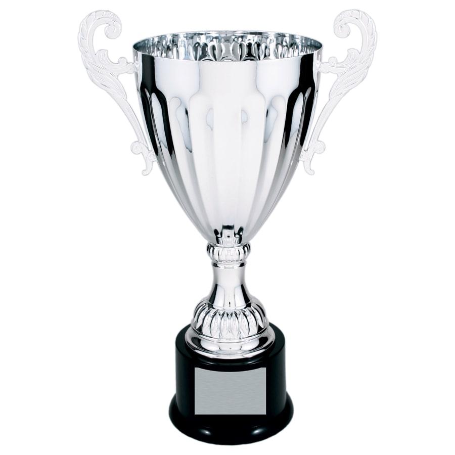 Completed Metal Cup Trophies, Blank (Single or 5) - Image 46