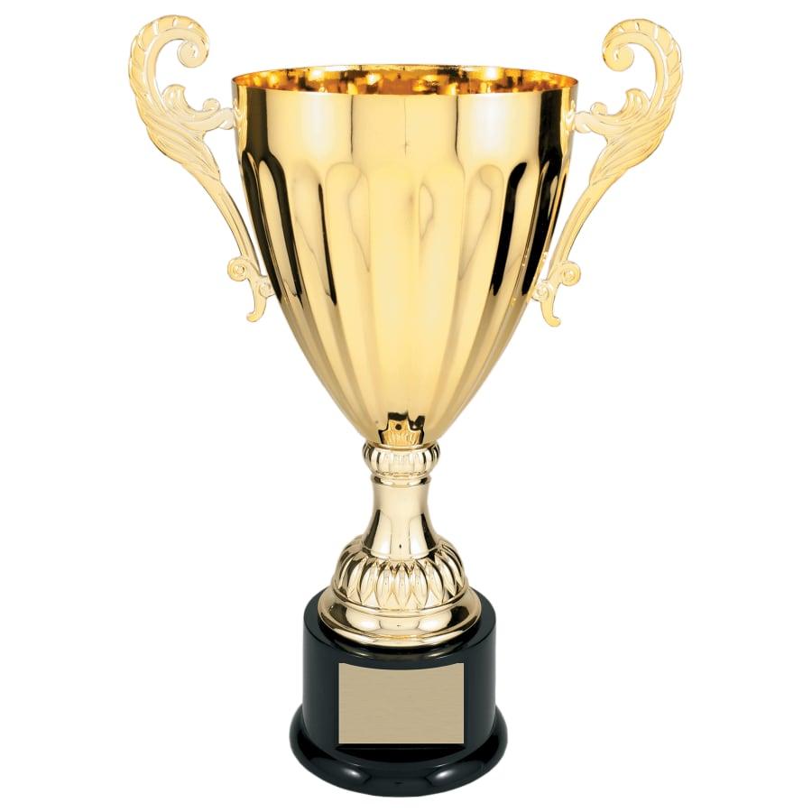 Completed Metal Cup Trophies, Blank (Single or 5) - Image 47
