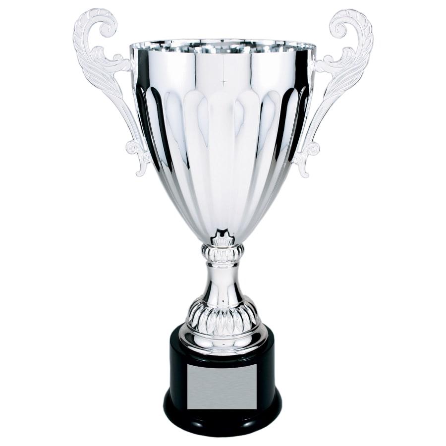 Completed Metal Cup Trophies, Blank (Single or 5) - Image 48