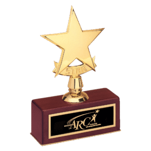 Personalized Gold Star Award