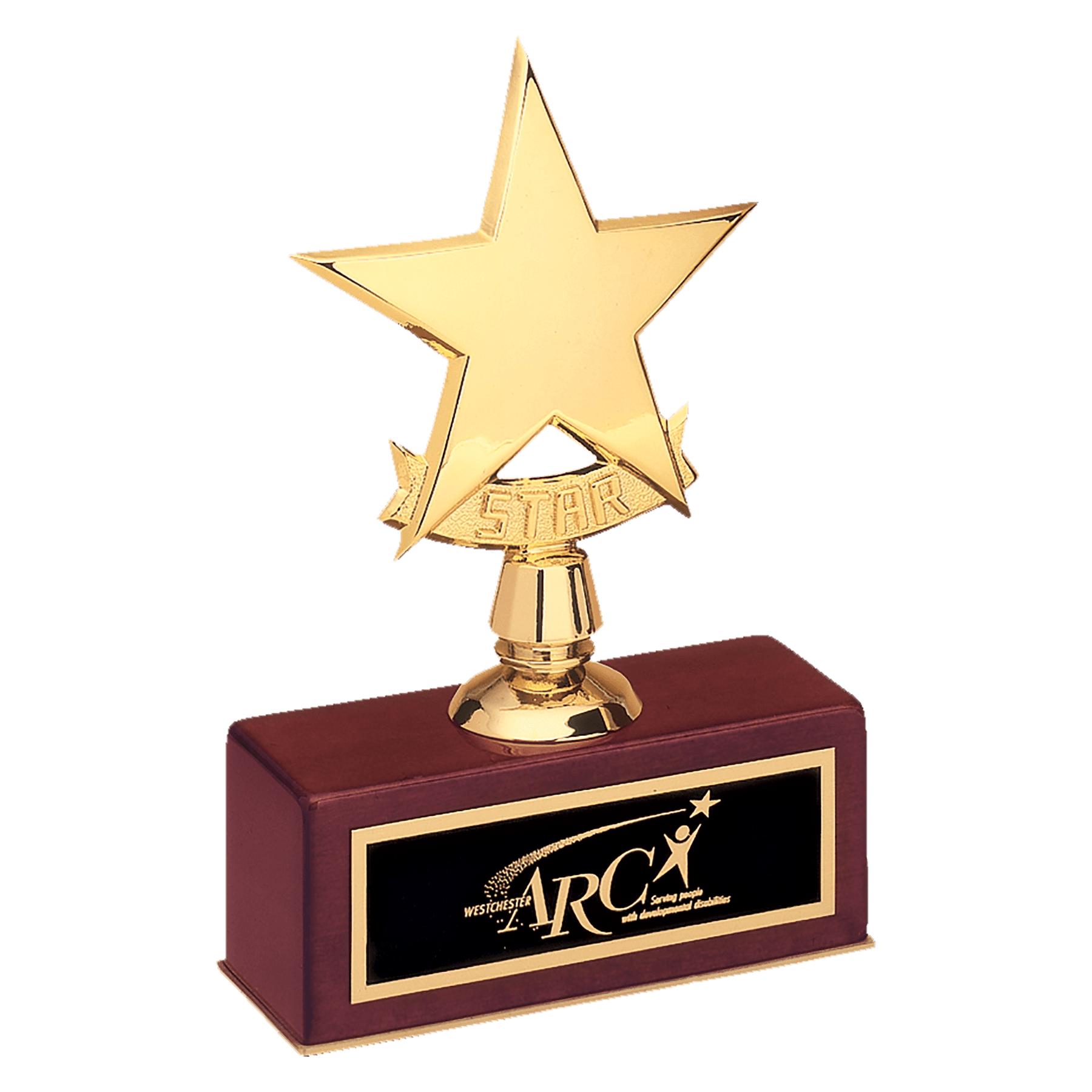 Personalized Gold Star Award