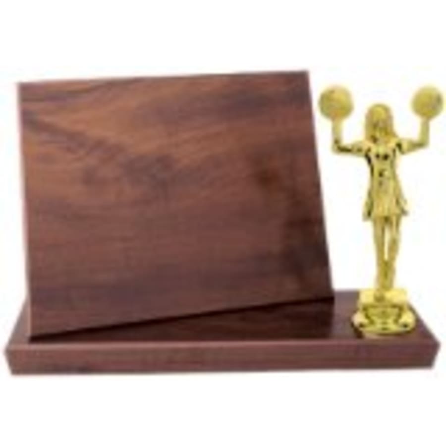 Standup Plaques, Slide-In Frame Plaques and Post Set Bases - 8" x 6" Value Cherry Finish Standup Plaque