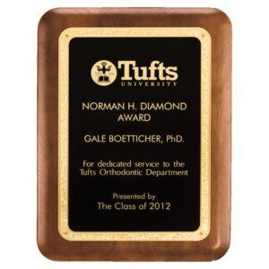 Personalized Star of Life Plaque, EMT & Paramedic Award - 9" x 12" Walnut with Bronze Star of Life